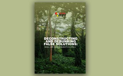 Deconstructing and Debunking False Solutions: REDD+ and Carbon Markets in Africa