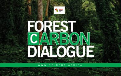 Resounding The Alarm Against False Solutions